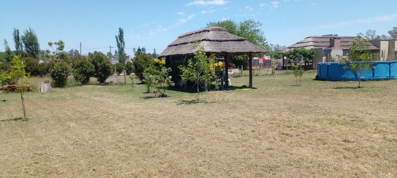 Imagen adicional 1