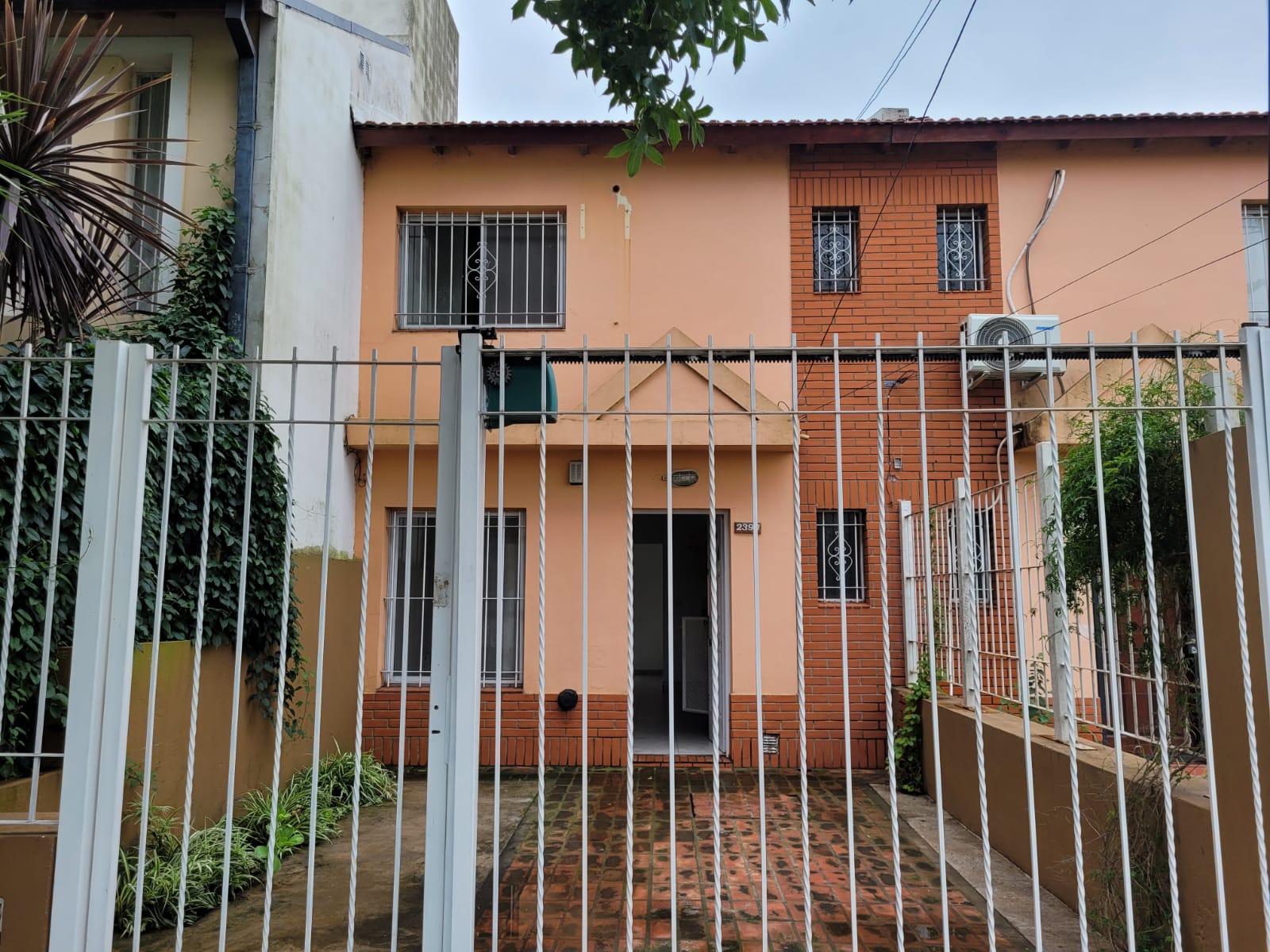 Justa Lima 2390