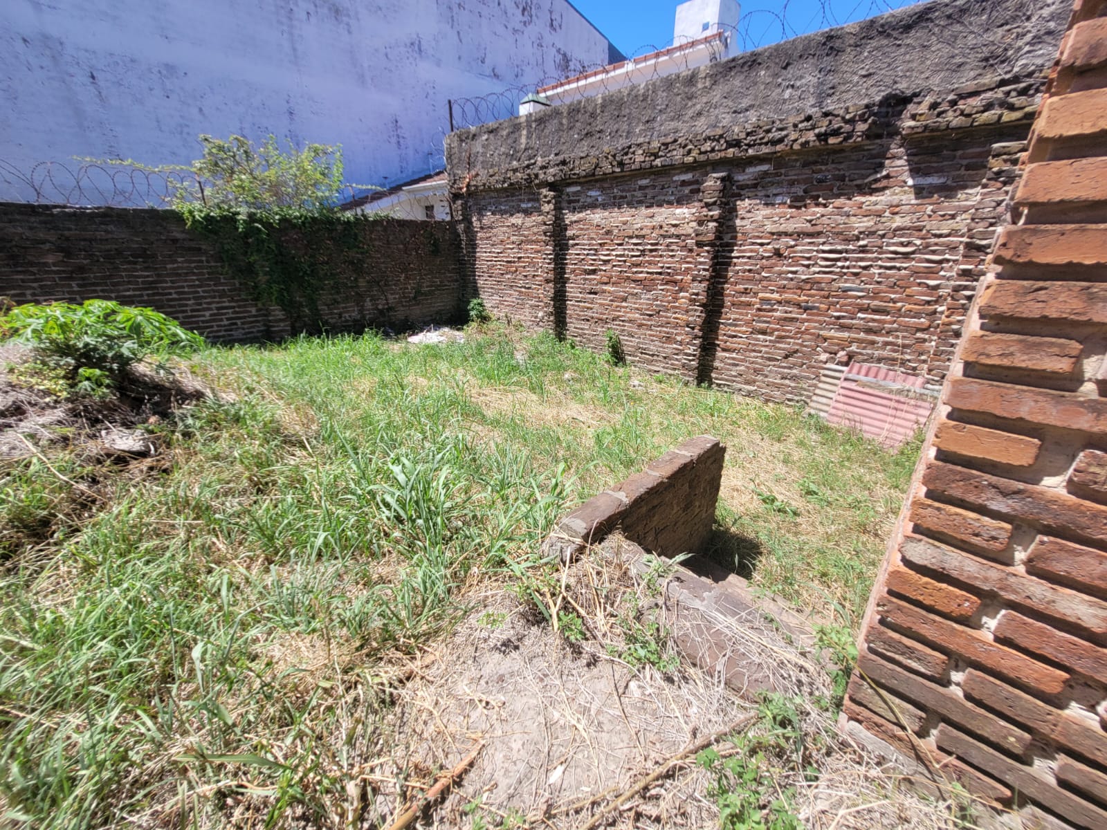 Imagen adicional 2